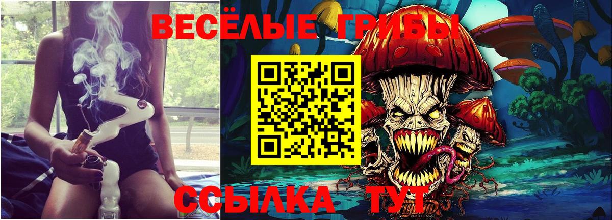Псилоцибиновые грибы Cubensis  Галлюциногенные грибы мицелий  Михайловка  Вход с VPN 
